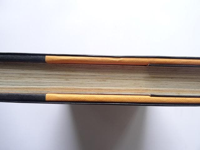 洋書◆タイ写真集 本 王国の7日間 風景 景色 文化