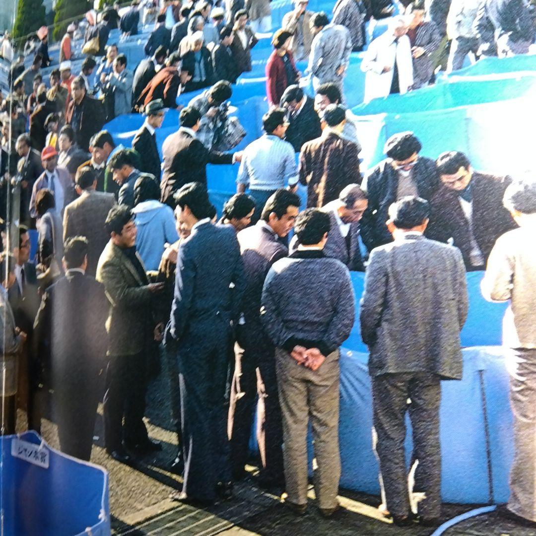 錦鯉品評会記念誌　鱗王大鑑