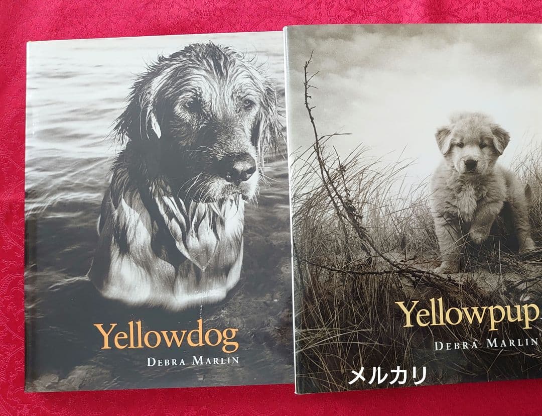 ゴールデンレトリバー　著者デブラマーリン　写真集2冊　洋書　希少価値