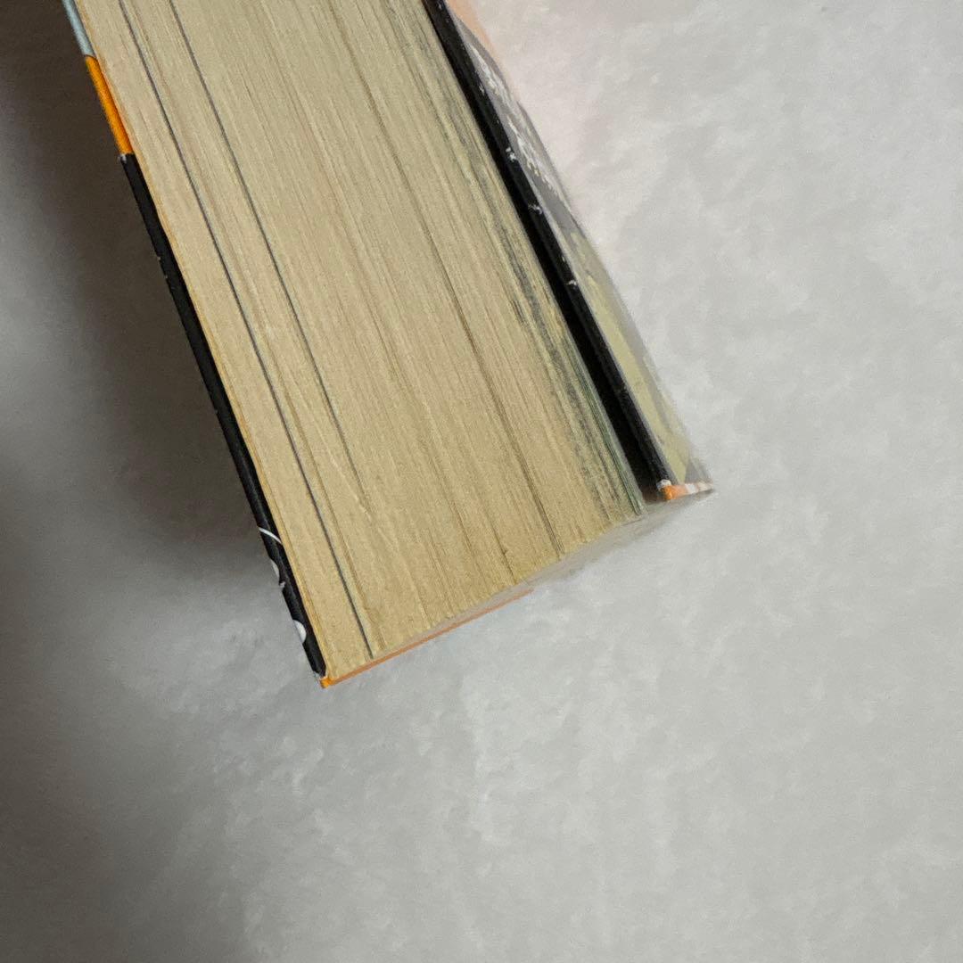 韓国漫画 チーズ・イン・ザ・トラップ 初版　帯付き