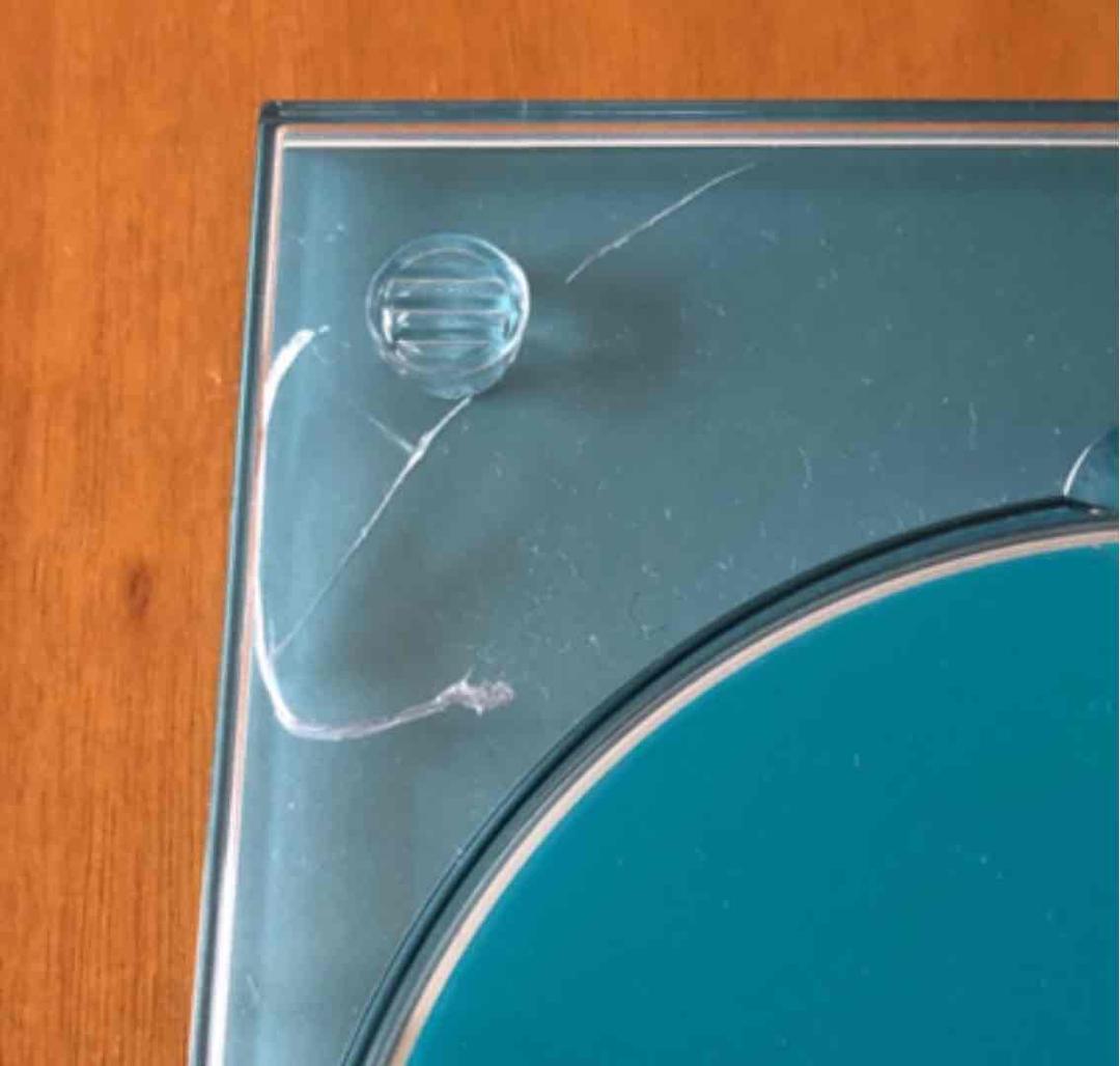 スピッツ　ソラトビデオ初回限定盤