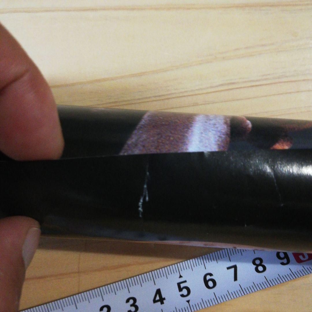 96年製 ライセンス Bulls ポスター Jordan pippen rodm