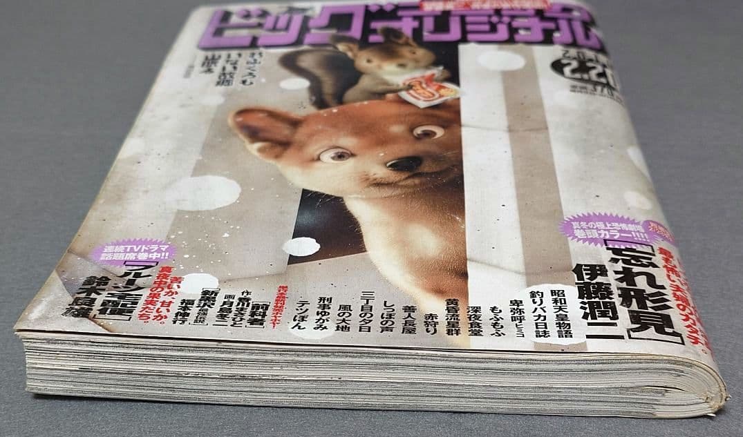 ビッグコミックオリジナル2019年2月20日4号『忘れ形見』読切/伊藤潤二