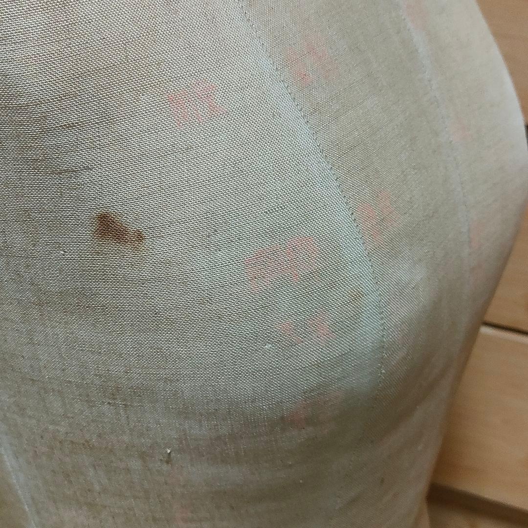 TOKYO KIIYA トルソー マネキン 東京キイヤ レディース 写真撮影