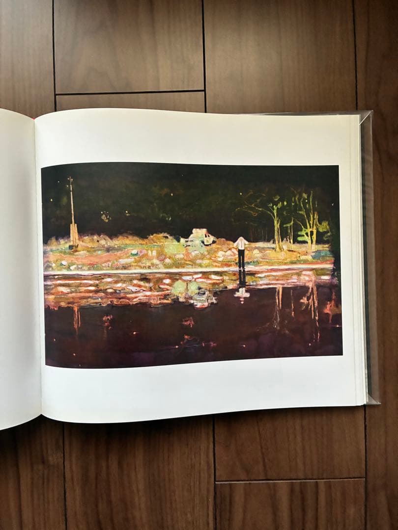 PETER DOIG 作品集