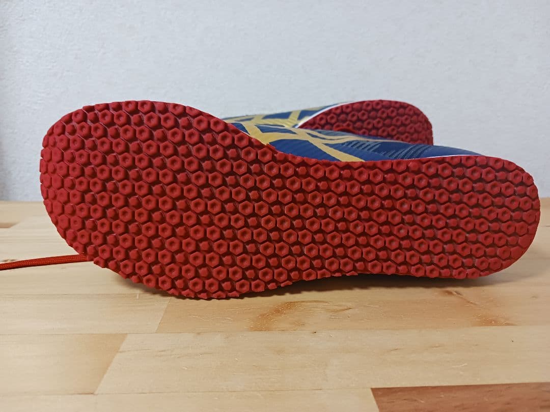 ASICS　アシックス　ウィンドスプリント3 25.5cm　STEP限定カラー