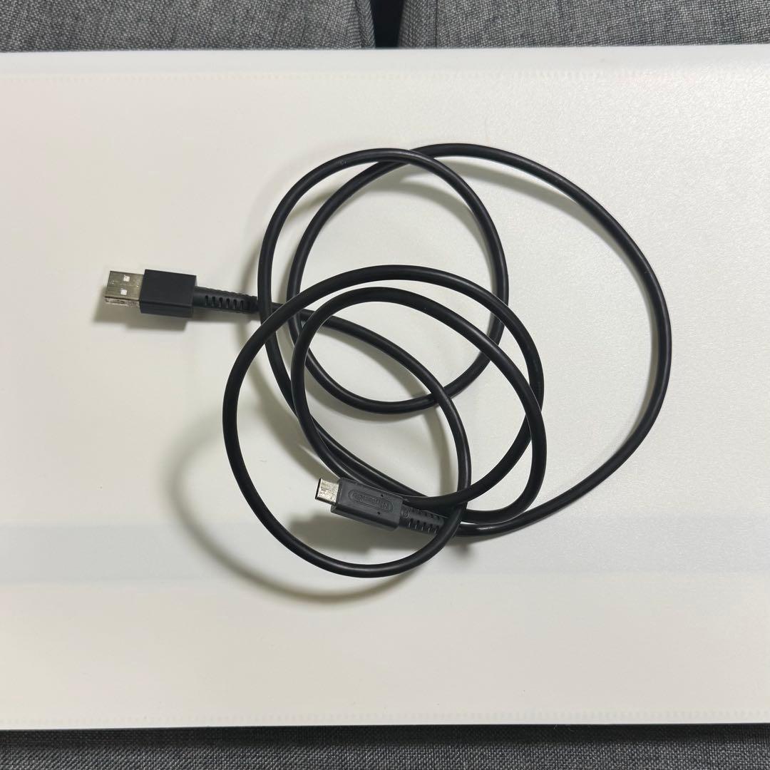 く*ん様 Nintendo Switch 本体 セット ジョイコン ソフト等付