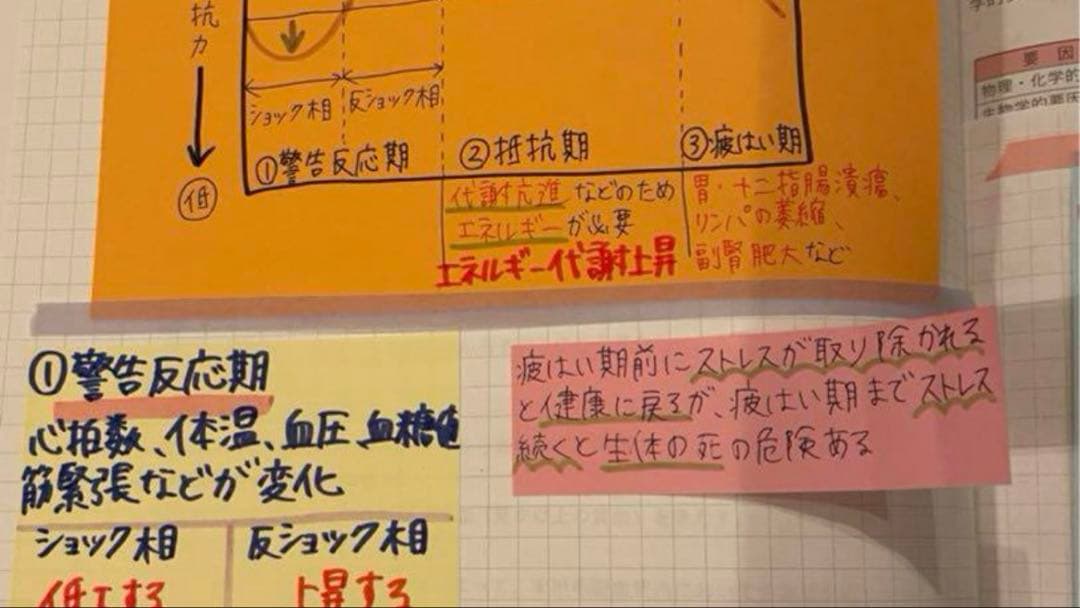 管理栄養士国家試験対策　まとめノート　全科目