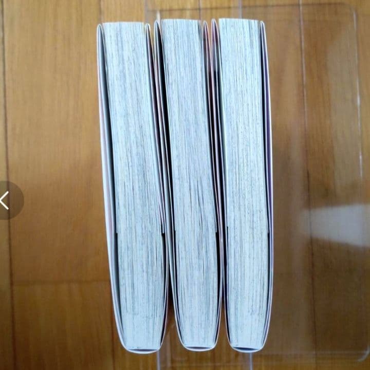 暴君ヴァーデルの花嫁 全3巻＋初夜編 全21巻　全巻セット