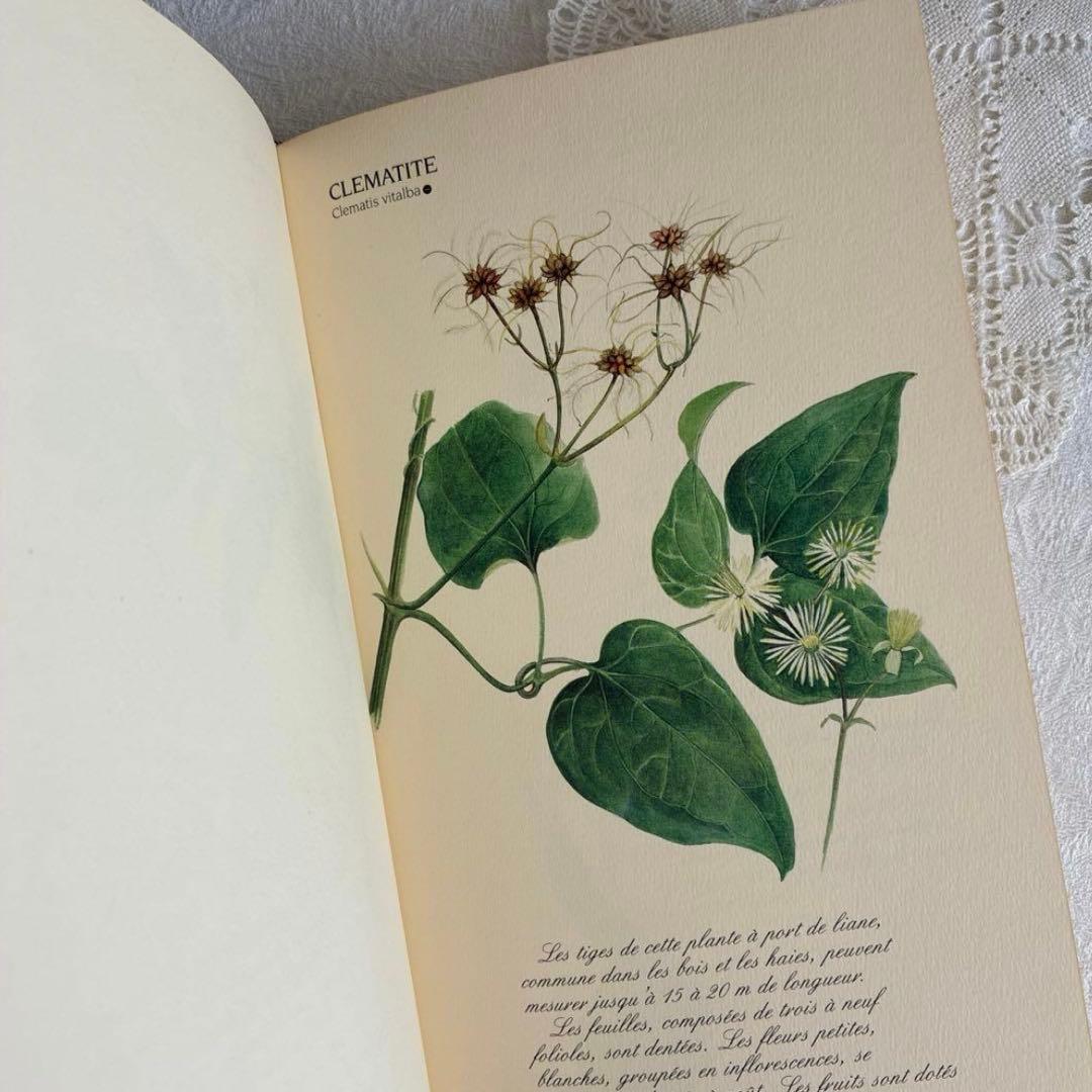 【希少・美品】1990年 美しいフランス植物図鑑　ナタン社　NATHAN