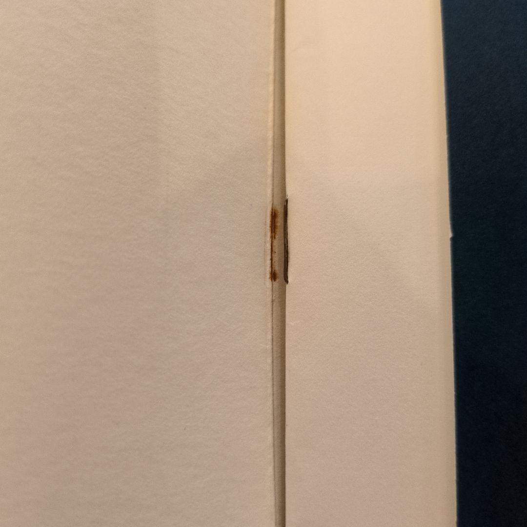 安藤忠雄 TADAO ANDO DORMANT LINES