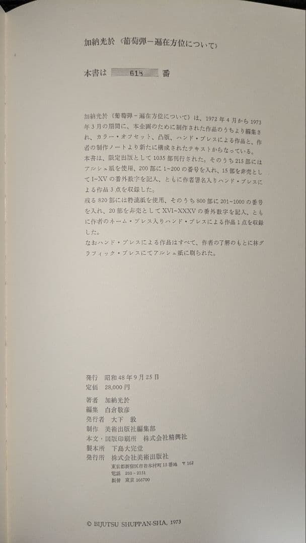 加納光於　葡萄弾-遍在方位について