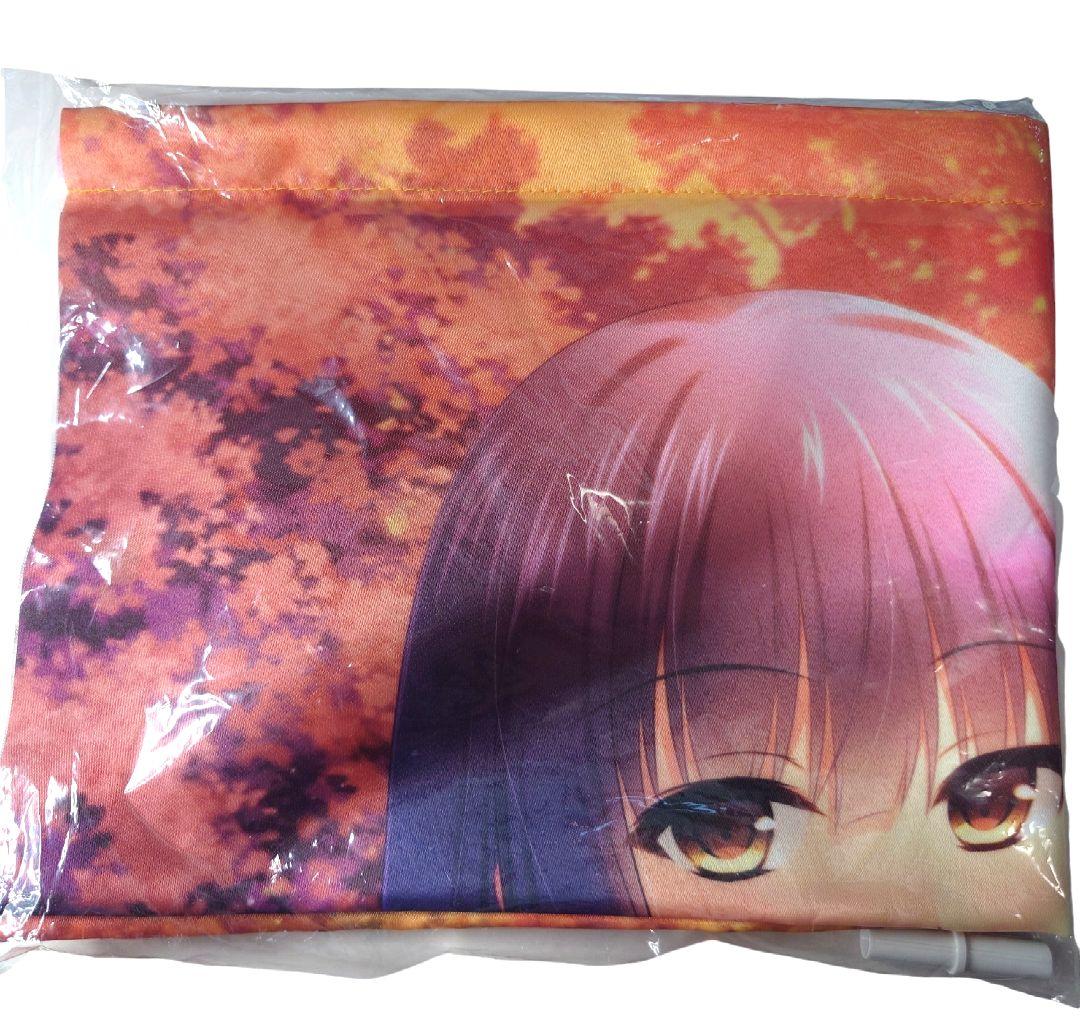 【中古】八剱伝 豪華特装版 店舗特典タペストリー付属 Switch