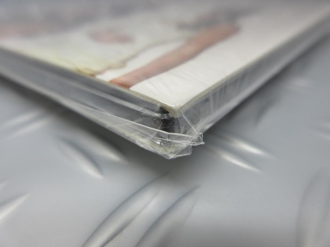 ★ザ・ロネッツ / ビッグ・ヒッツ、レアリティ＆アンリリースド★RONETTES