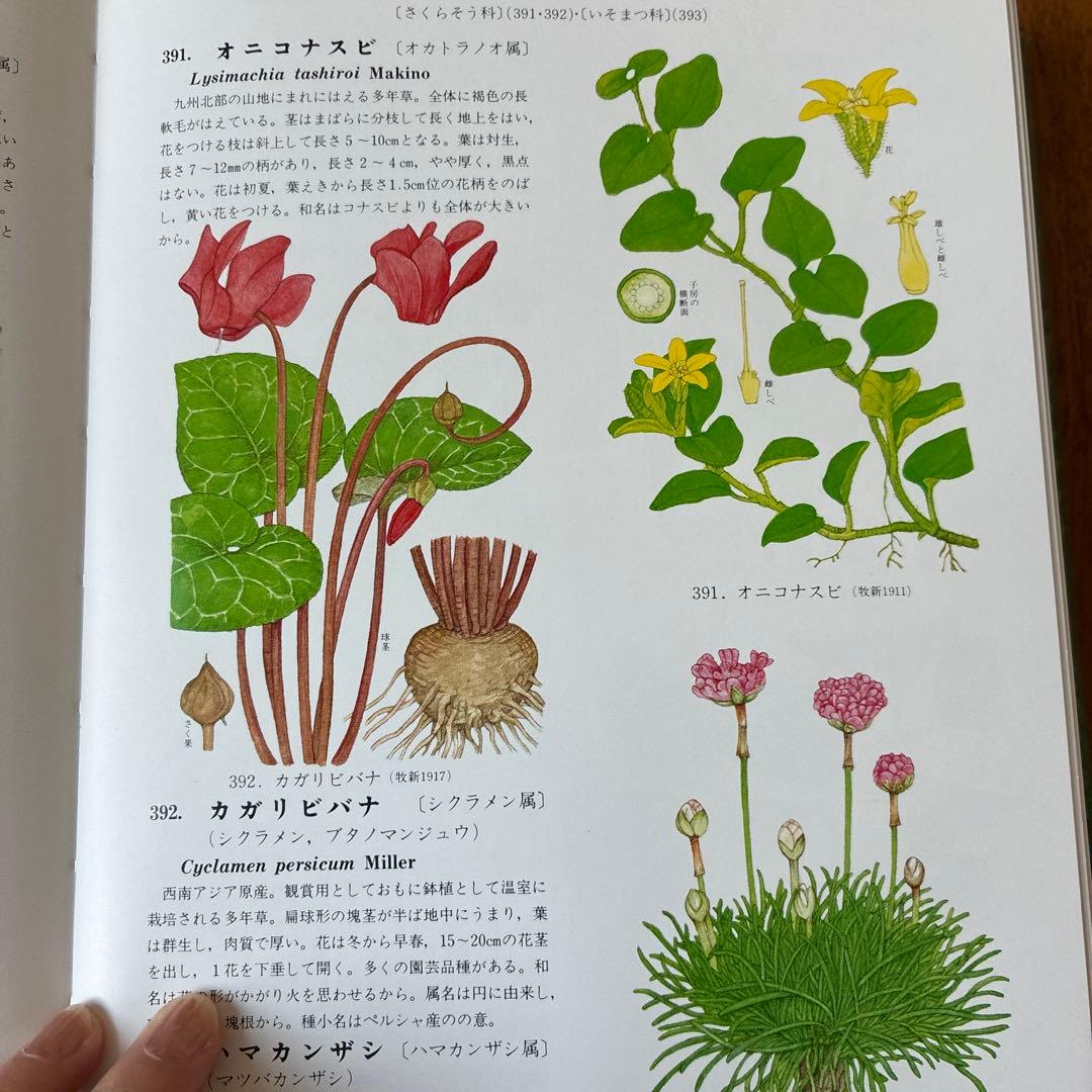 訳あり　原色牧野植物大図鑑
