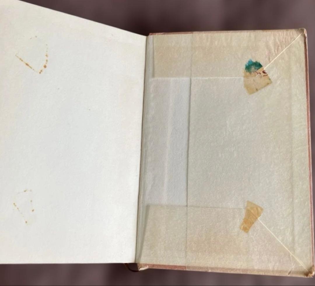 Novum Testamentum ギリシャ語・ラテン語 新約聖書　洋書