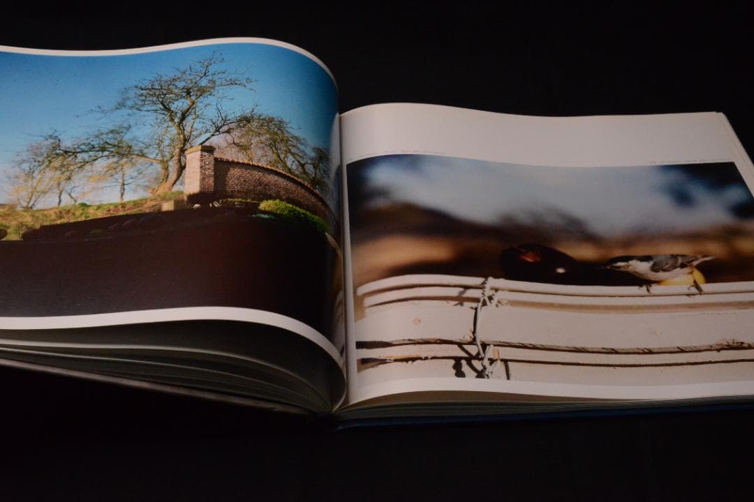 【Jean-Luc Mylayne】Jean Luc Mylayne　美本