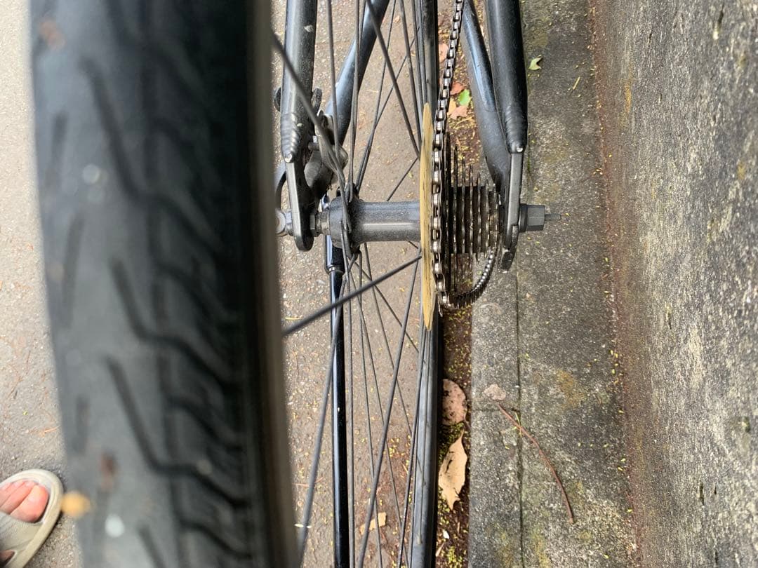 ルイガノ自転車