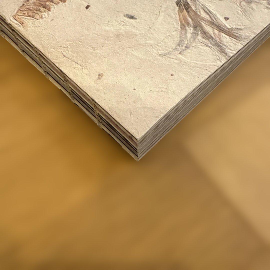 ジルサンダー JILL SANDER 雑誌 保存袋 保存箱 付き