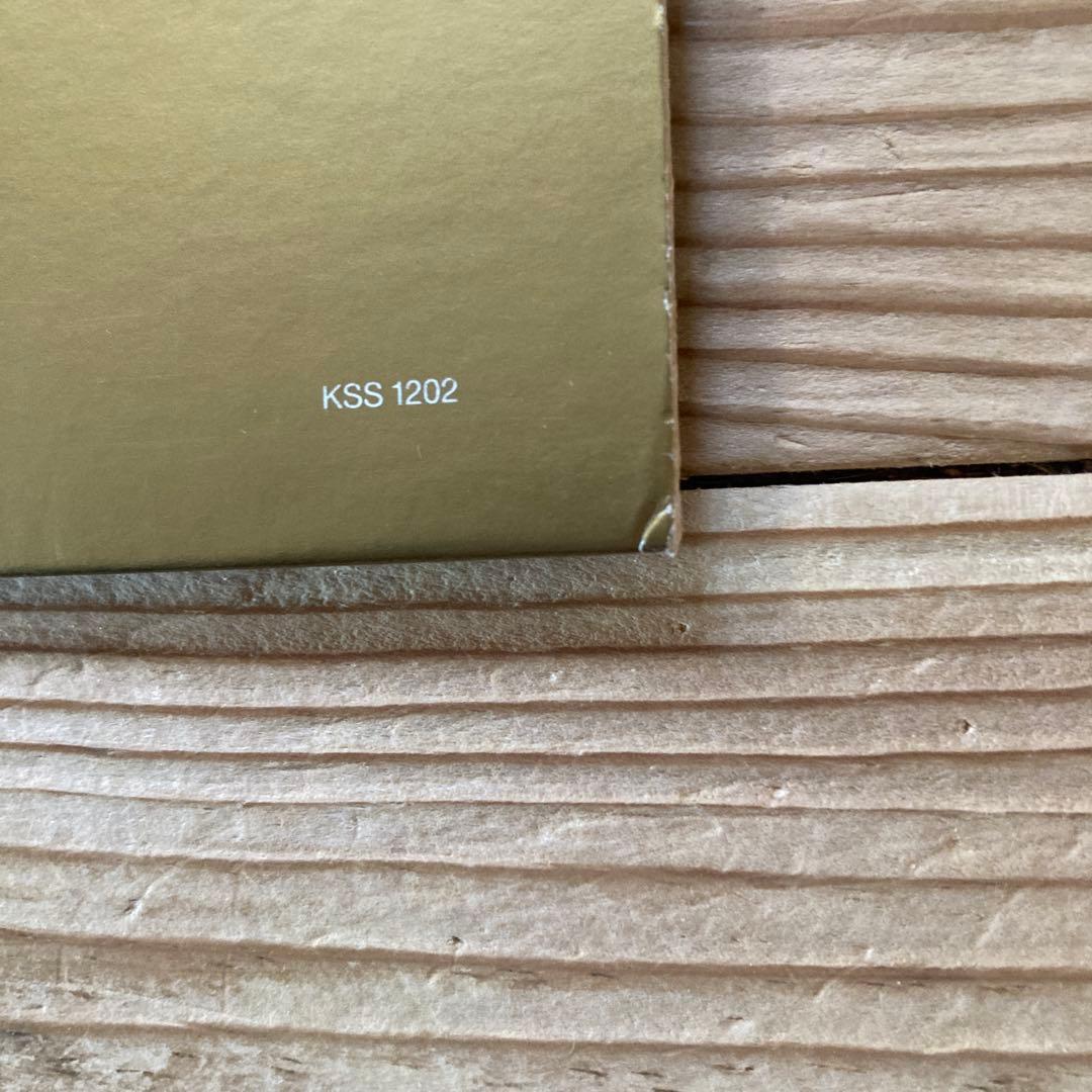 極希少 YUKI JOY Remixed Eric Kupper 12inch