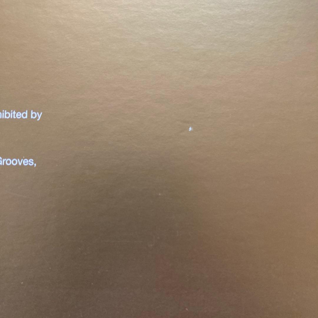 極希少 YUKI JOY Remixed Eric Kupper 12inch