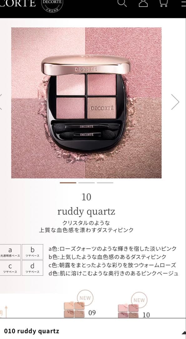 コスメデコルテ　スキンシャドウデザイニングパレット10