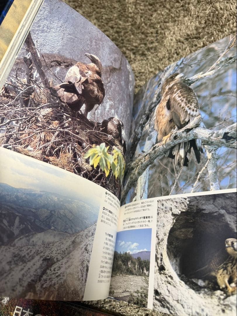 ⭐︎日本の天然記念物⭐︎全6巻⭐︎講談社⭐︎