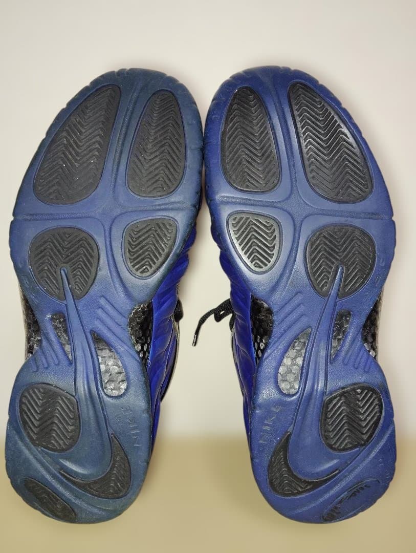 シューズ(男性用) Nike 28.5cm AIR FOAMPOSITE PRO