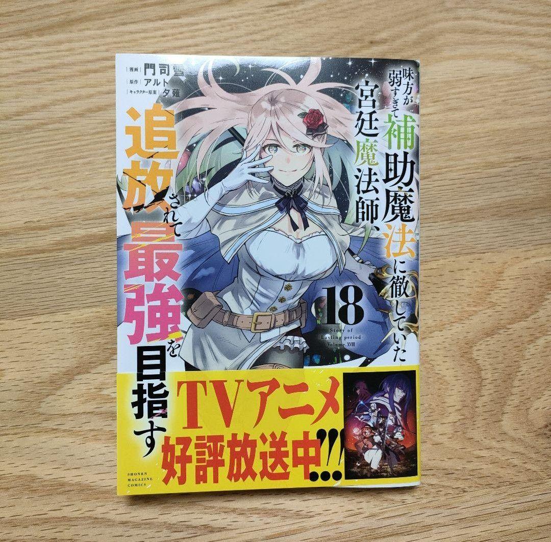 味方が弱すぎて補助魔法に徹していた　 宮廷魔法師 全巻セット　美品　送料無料