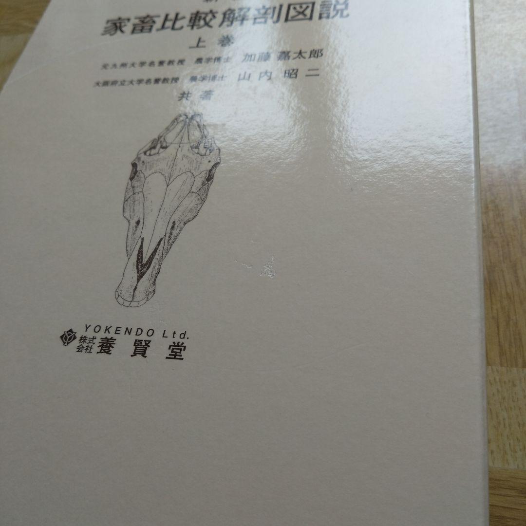 新編 家畜比較解剖図説 上巻 下巻