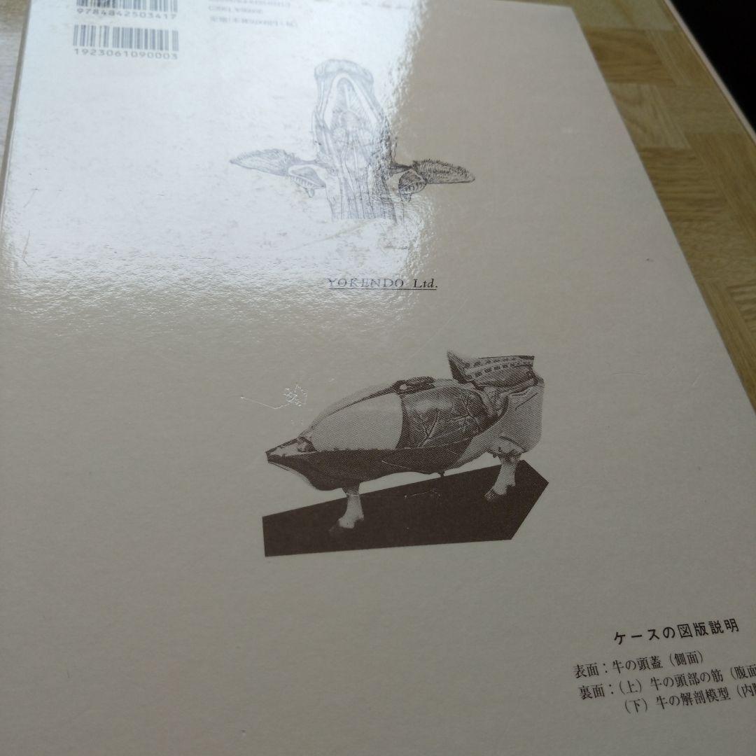 新編 家畜比較解剖図説 上巻 下巻