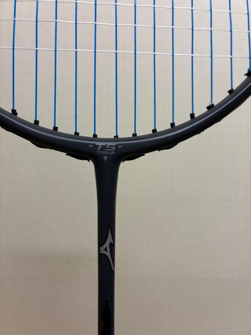 アクロフォース100 4UG6