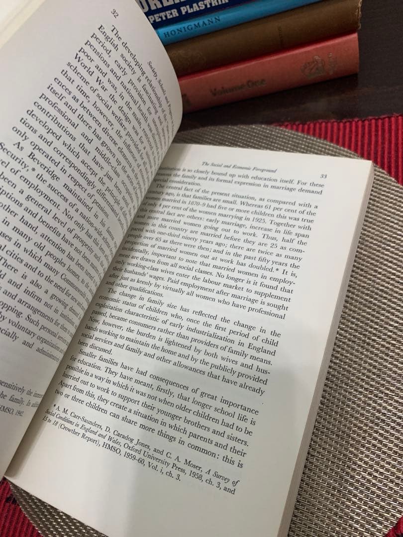 洋書 Society, Schools & Progress in England