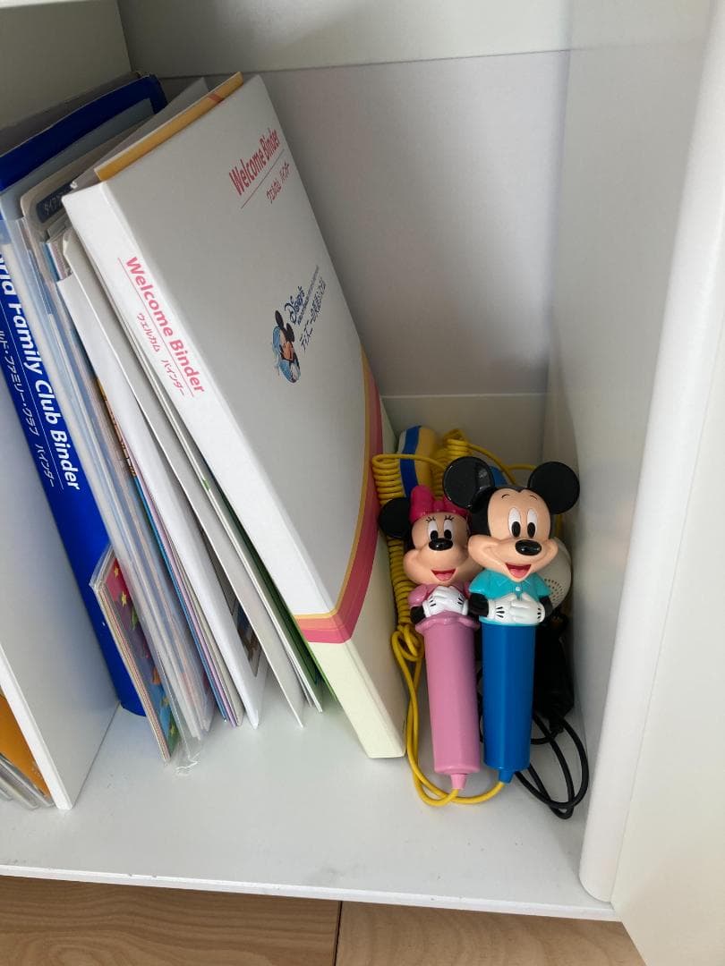 ディズニー　ワールドオブイングリッシュ　英語システム　DWE