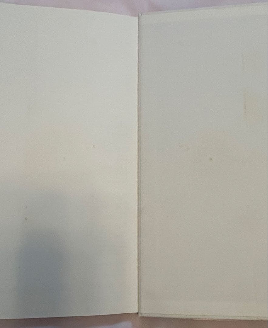 ハミルトン・ピクチャーズ David Hamilton 初版 帯、フライヤー付