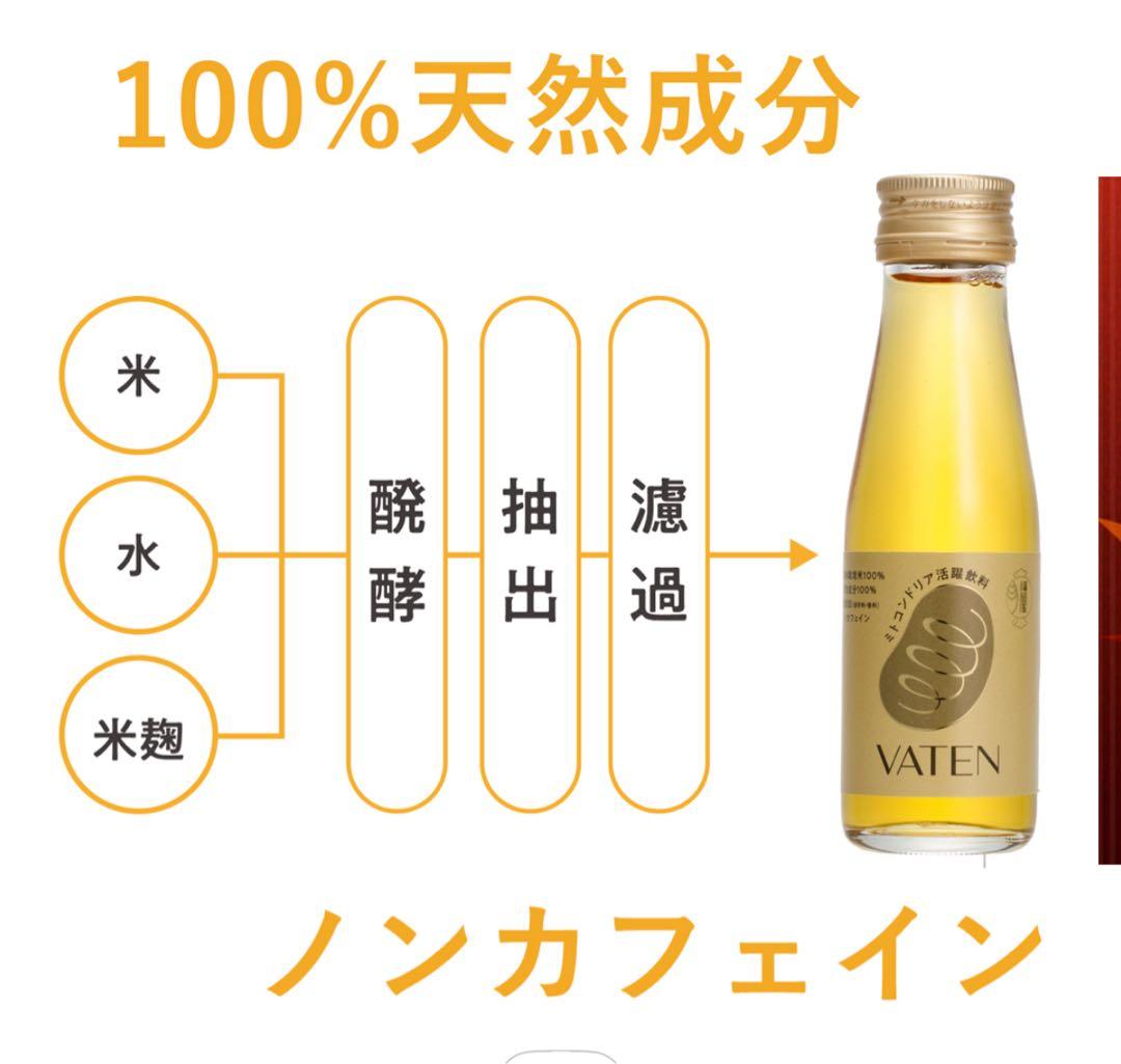 無添加VATEN ノンカフェイン 100ml×10本入り x2箱