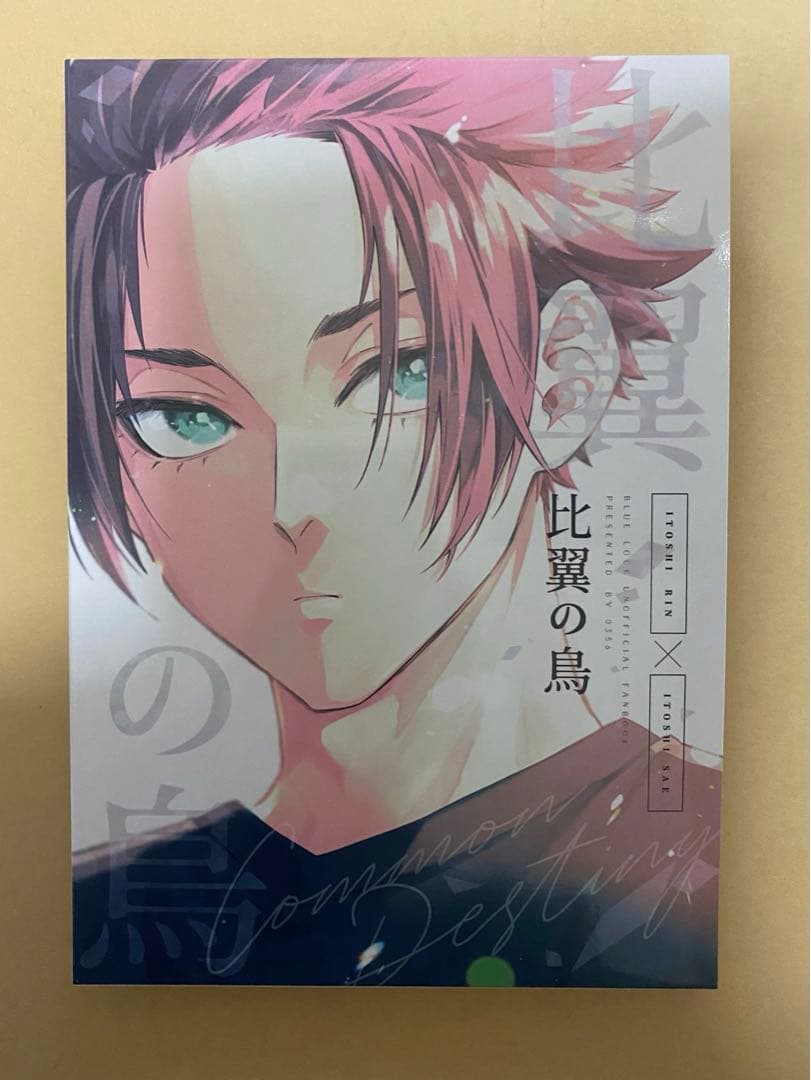 【ブルーロック】同人誌＊2冊＋ブックケースセット