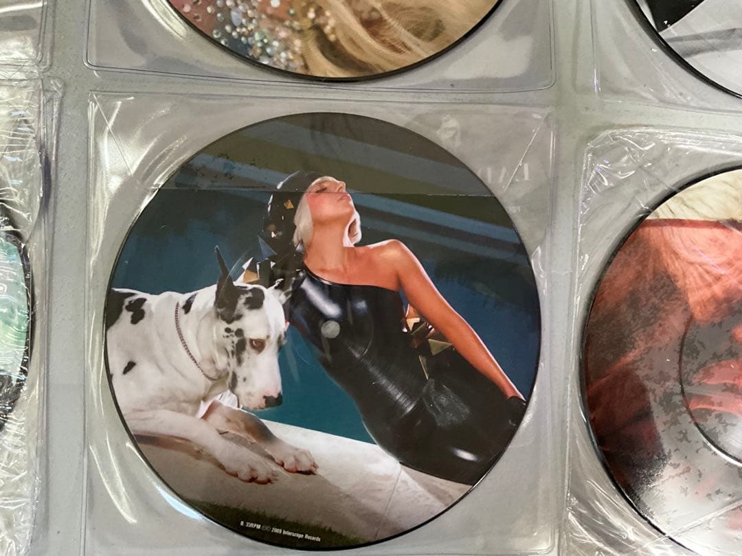 希少⭐️LADY GAGA⭐️レディーガガ⭐️ピクチャーレコード⭐️6枚セット