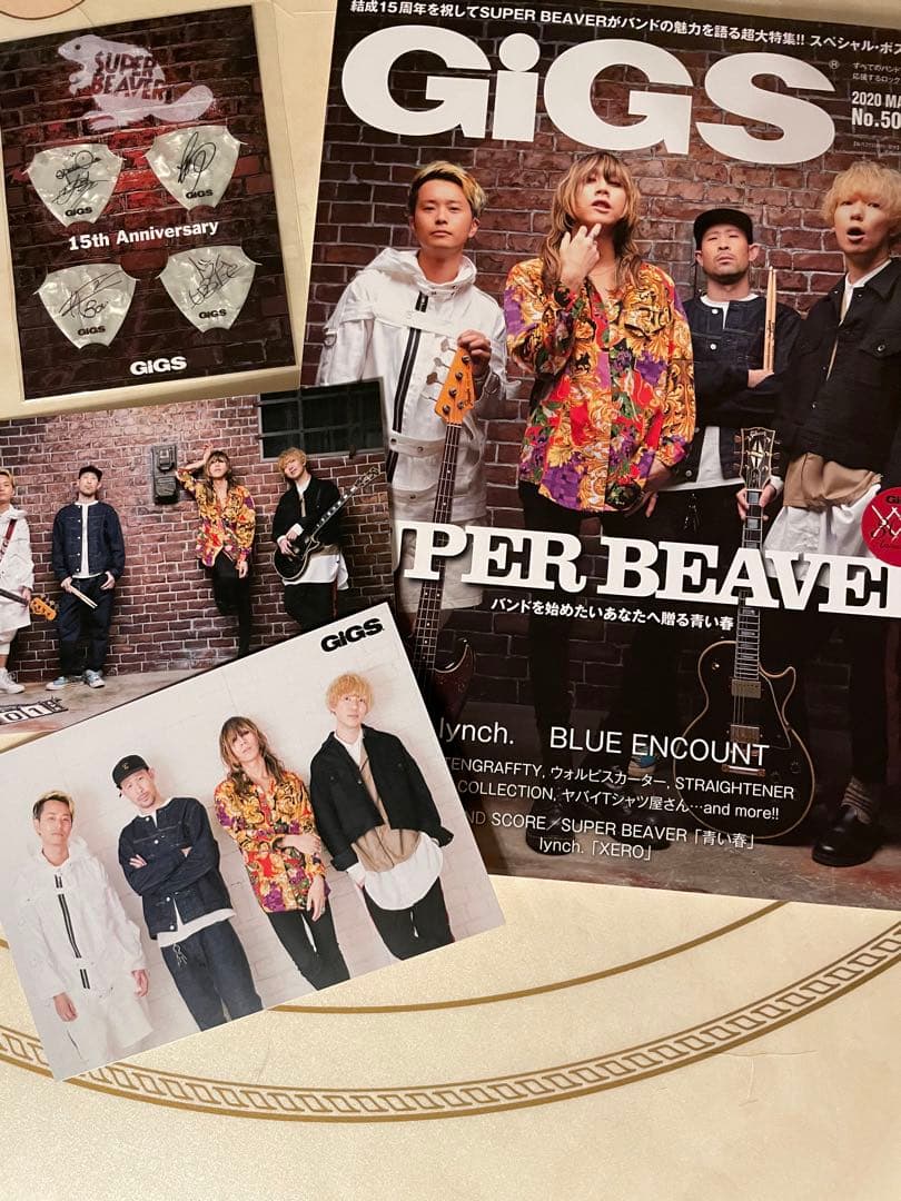 SUPERBEAVER GIGS サイン入り　ピック