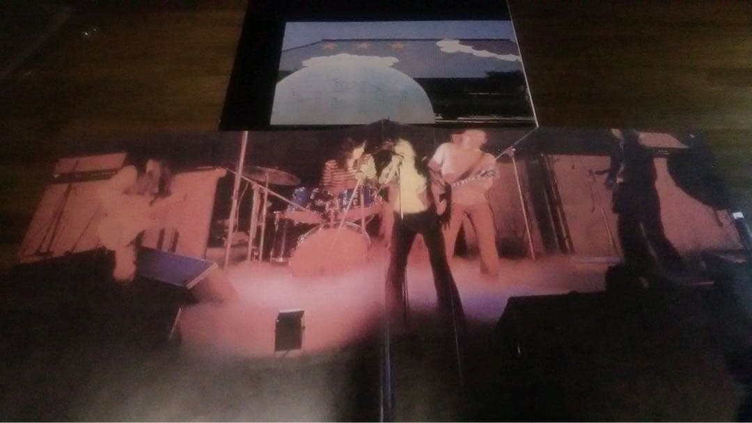 稀少2LP/村八分/ライブ/山口冨士夫