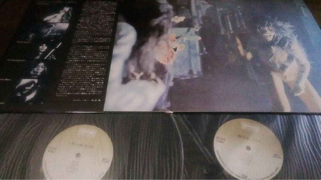 稀少2LP/村八分/ライブ/山口冨士夫