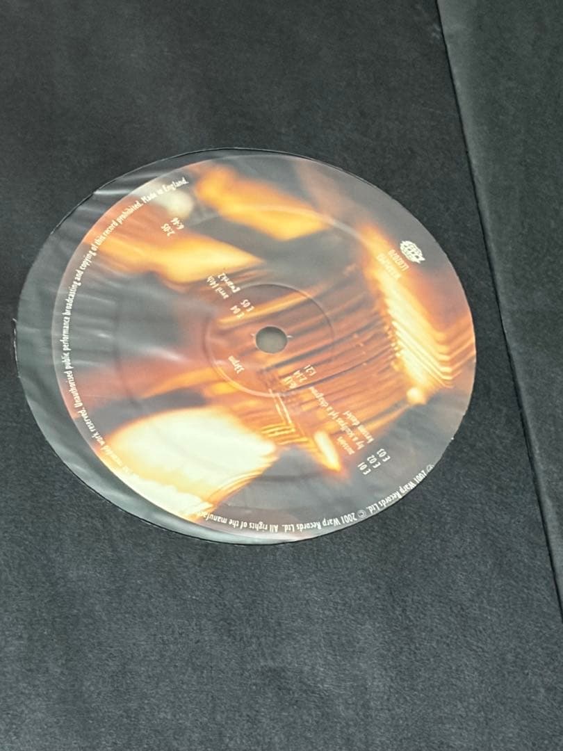 aphex twin drukqs レコード