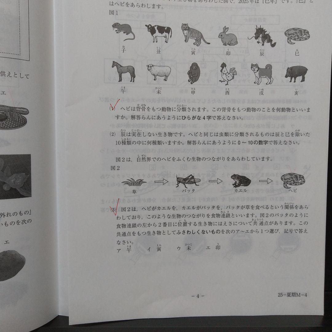 最新サピックス　2025年度4年生テスト　フルセット　原本