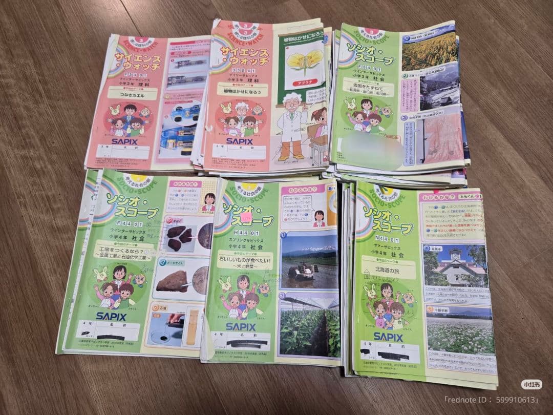 【最新】2025年度サピックス小学3年生 テキスト一年分フルセット+小4社会