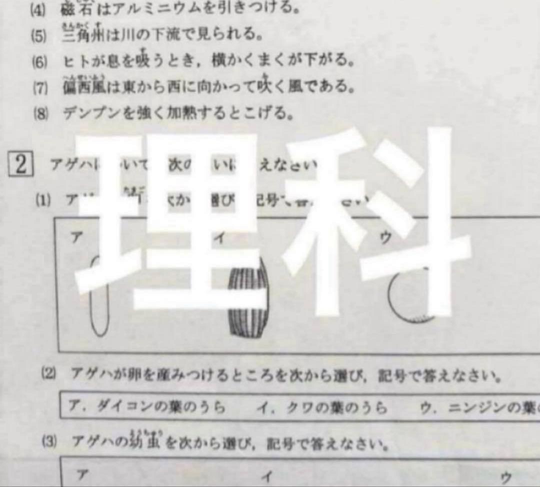 浜学園　小6 最新版　2025年　公開学力テスト4科目　国語、算数、理科、社会、