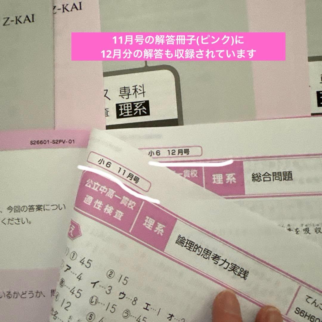 Z会　エブリスタディ　公立中高一貫校適性検査　6年　1年分