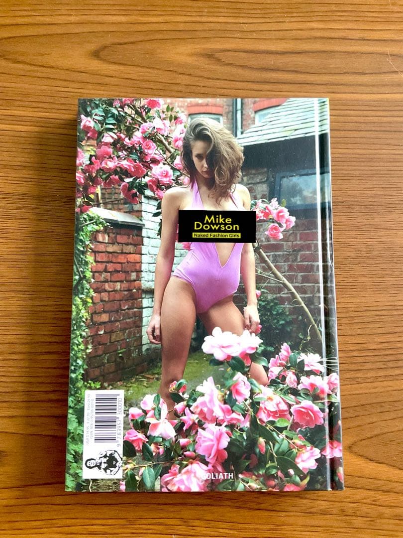 【新品同様・希少】MIKE DOWSON:Fashion Girls