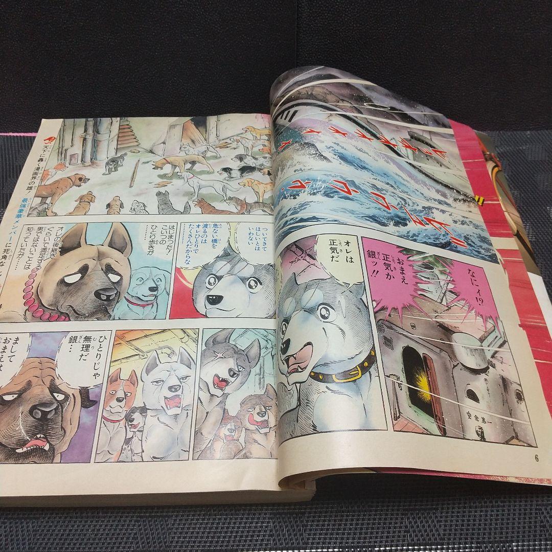 週刊少年ジャンプ 1985年7号※ドラゴンボール ２回目表紙