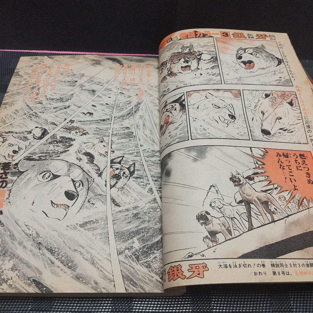 週刊少年ジャンプ 1985年7号※ドラゴンボール ２回目表紙