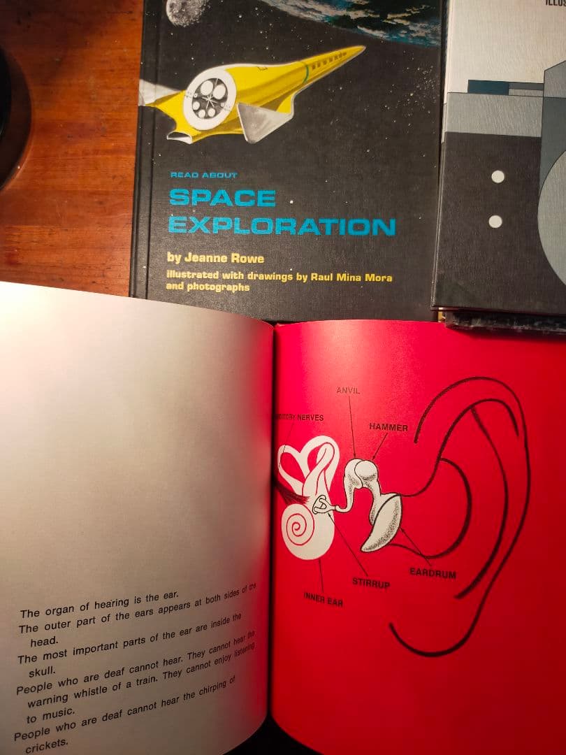 GLORIA INTERNATIONAL READ ABOUT シリーズ 11冊